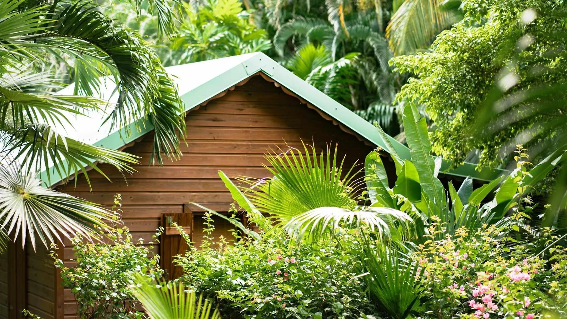 Au Jardin Des Colibris Ecolodge&Spa Deshaies Guadeloupe