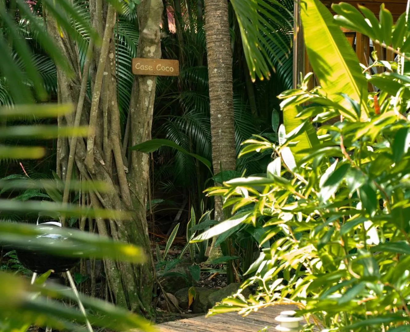 Au Jardin Des Colibris Ecolodge&Spa Deshaies Guadeloupe