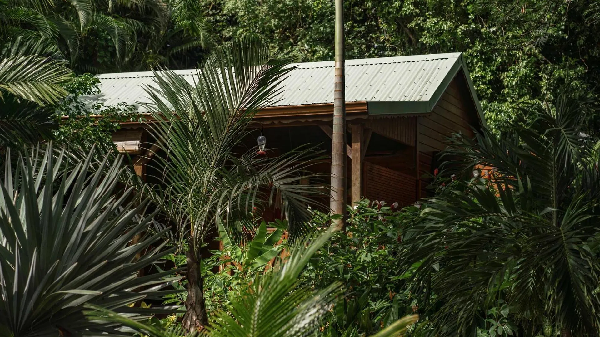 Au Jardin Des Colibris Ecolodge&Spa Deshaies 0*,