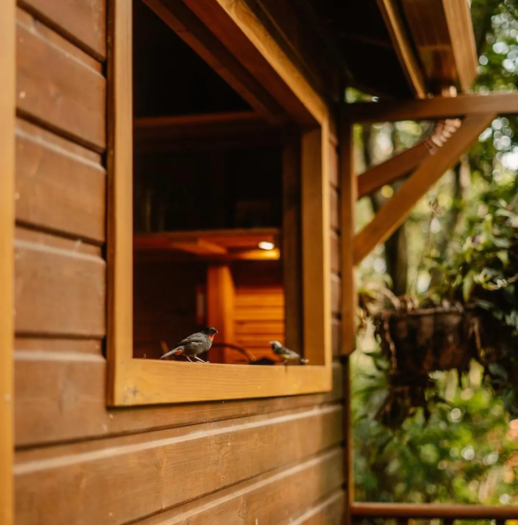 Holiday park Au Jardin Des Colibris Ecolodge&Spa Deshaies Guadeloupe