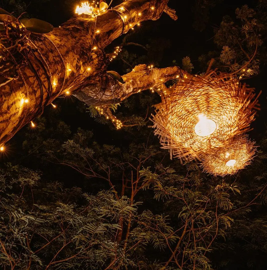 Au Jardin Des Colibris Ecolodge&Spa Deshaies