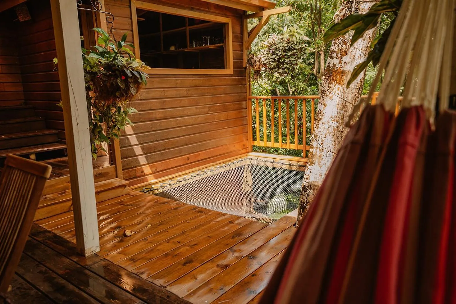 דסהייס Au Jardin Des Colibris Ecolodge&Spa