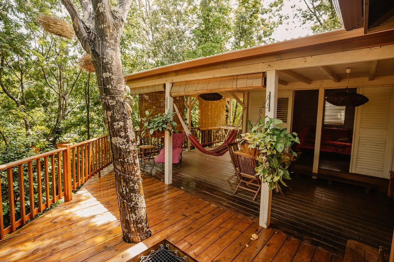 Au Jardin Des Colibris Ecolodge&Spa Deshaies Holiday park