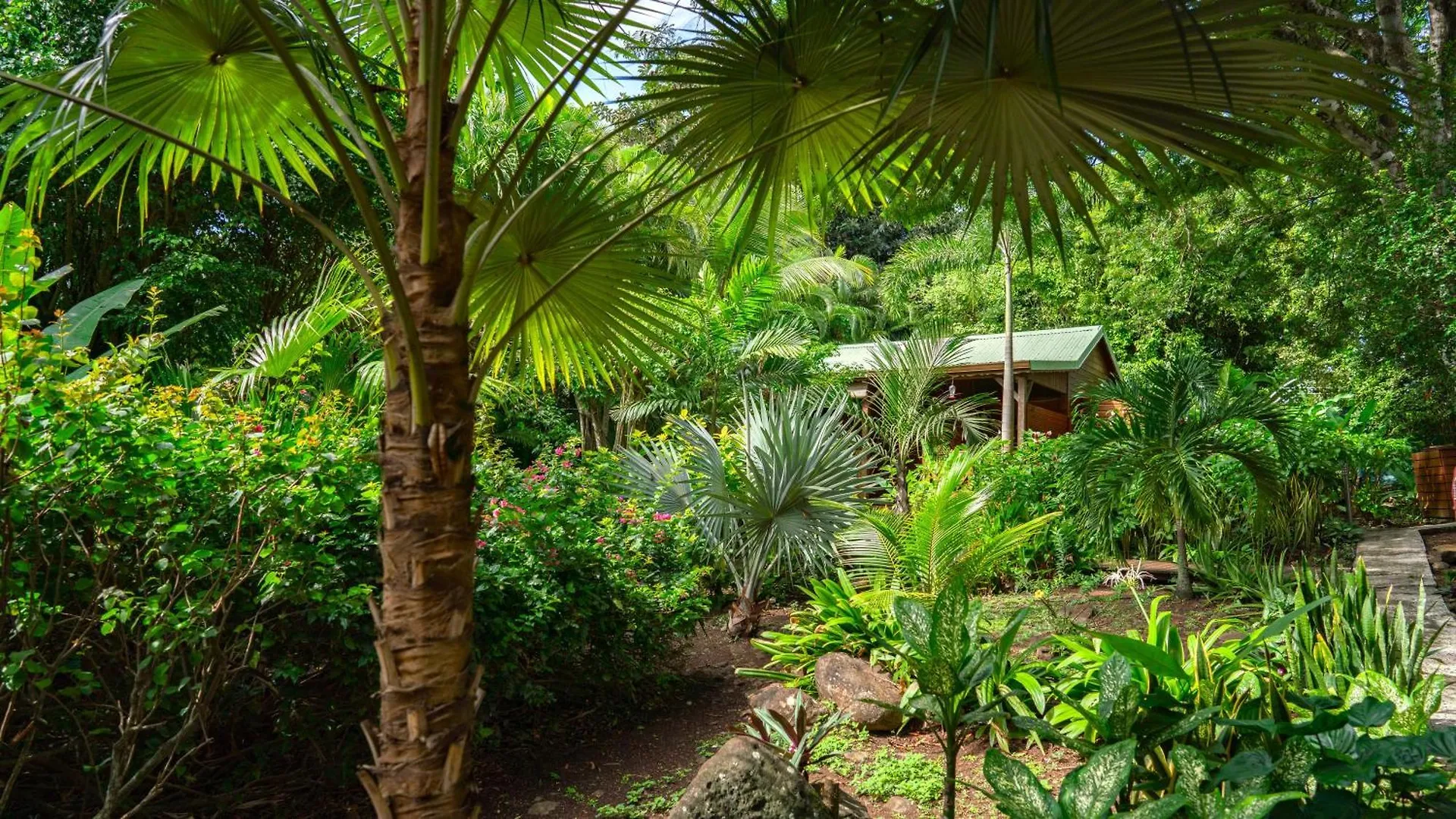 Au Jardin Des Colibris Ecolodge&Spa Deshaies 0*,  Guadeloupe