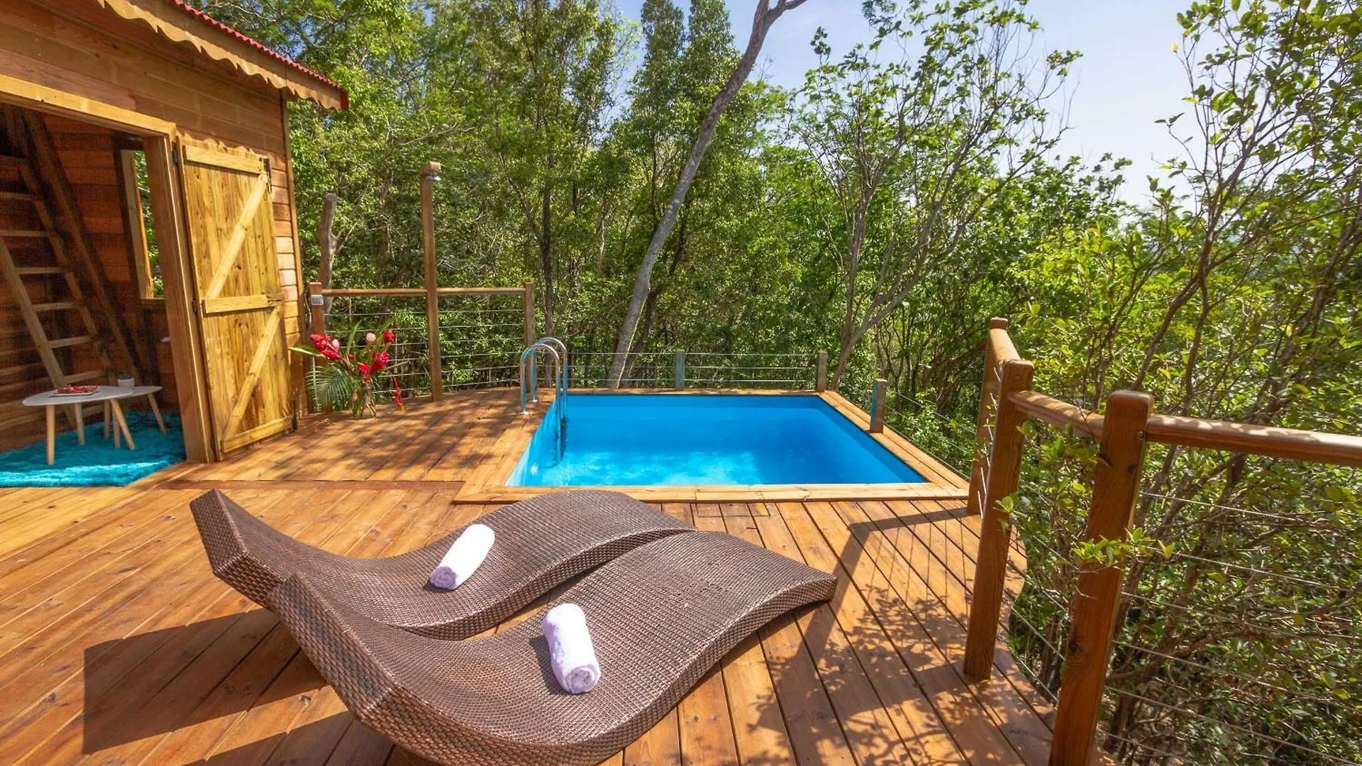 Au Jardin Des Colibris Ecolodge&Spa Deshaies