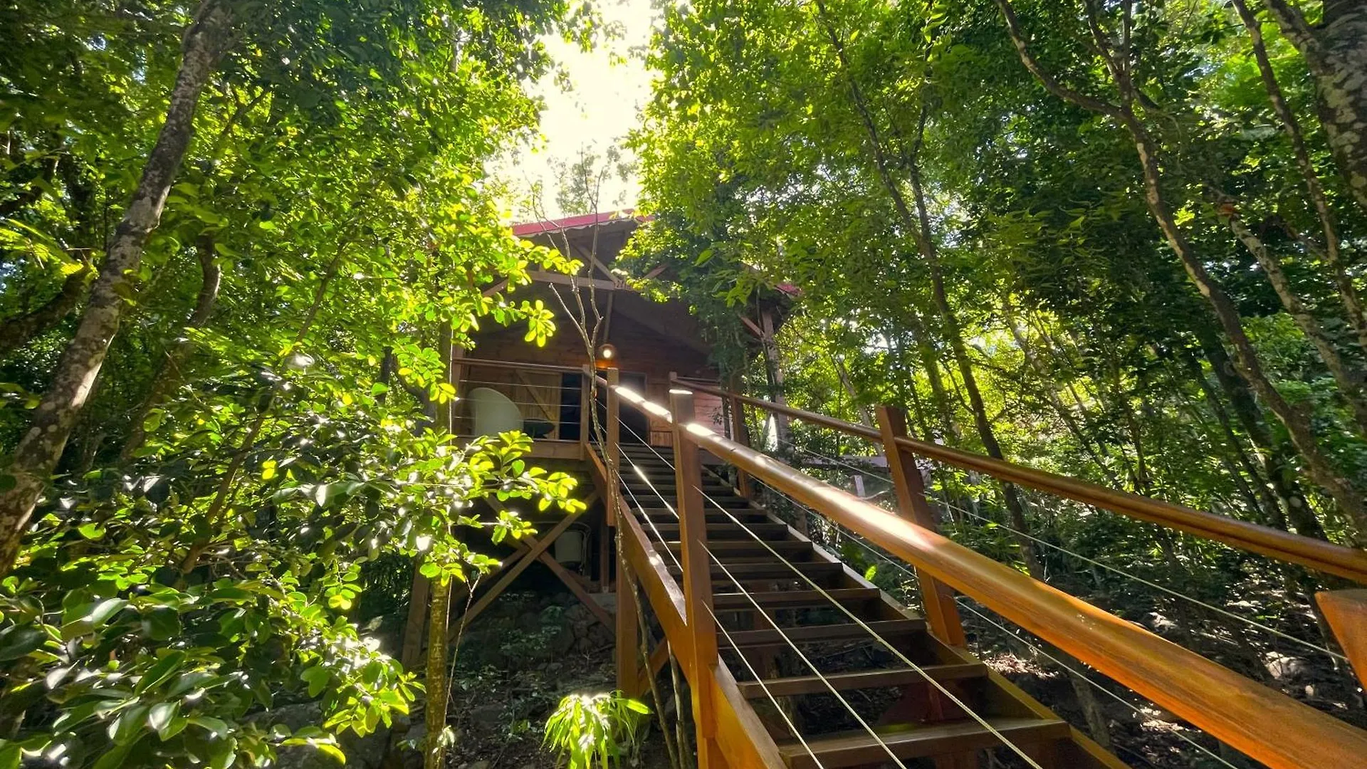 Au Jardin Des Colibris Ecolodge&Spa Deshaies